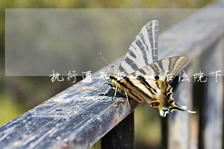 执行通知书送达后法院下一步程序 执行通知书送达后法院下一步程序