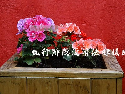 执行阶段没有法律援助 执行阶段没有法律援助