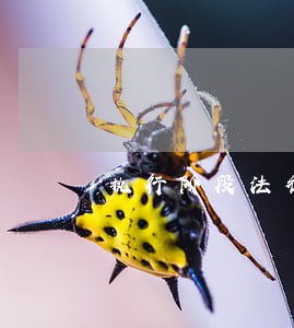 执行阶段法律援助 执行阶段法律援助