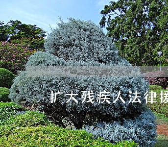 扩大残疾人法律援助范围 扩大残疾人法律援助范围