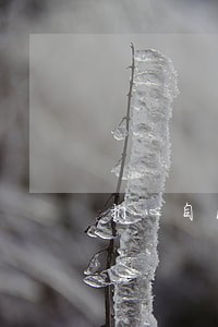 扪心自问你是法制科科长吗 扪心自问你是法制科科长吗