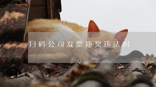 扫码公司发票抽奖违法吗 扫码公司发票抽奖违法吗