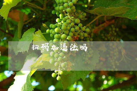 扫码加违法吗 扫码加违法吗