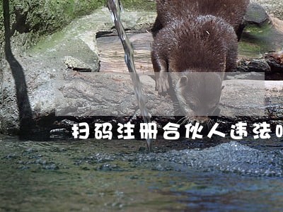 扫码注册合伙人违法吗 扫码注册合伙人违法吗
