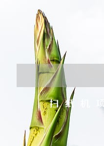 扫纸机项目违法吗 扫纸机项目违法吗