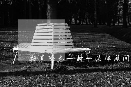 扫黑除恶一村一法律顾问 扫黑除恶一村一法律顾问
