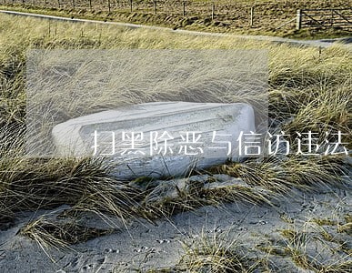 扫黑除恶与信访违法 扫黑除恶与信访违法