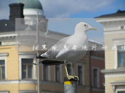扫黑除恶专项行动法院排查情况 扫黑除恶专项行动法院排查情况