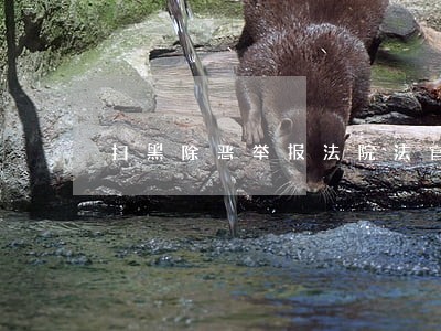 扫黑除恶举报法院法官 扫黑除恶举报法院法官