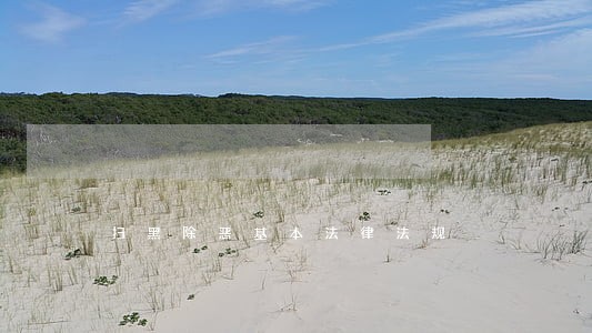 扫黑除恶基本法律法规 扫黑除恶基本法律法规