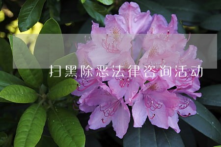 扫黑除恶法律咨询活动 扫黑除恶法律咨询活动