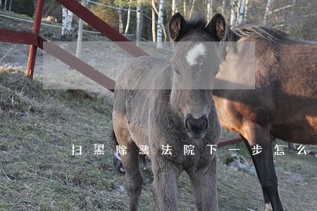 扫黑除恶法院下一步怎么做 扫黑除恶法院下一步怎么做