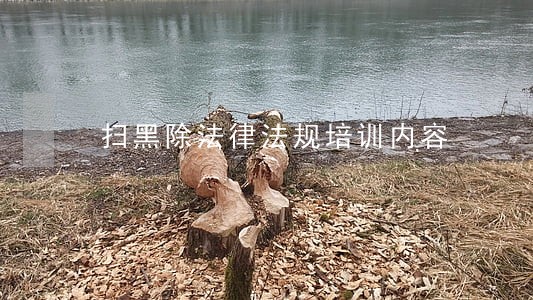 扫黑除法律法规培训内容 扫黑除法律法规培训内容