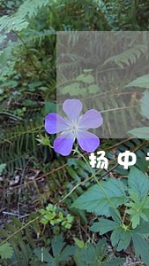 扬中专业的律师事务所 扬中专业的律师事务所