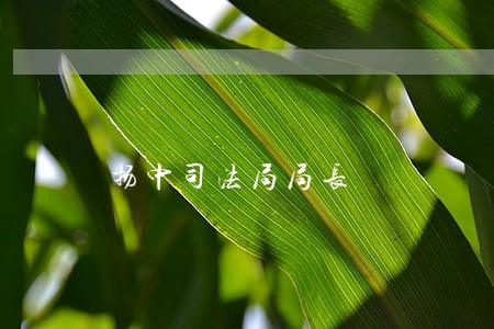 扬中司法局局长 扬中司法局局长