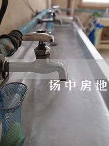 扬中房地产律师 扬中房地产律师