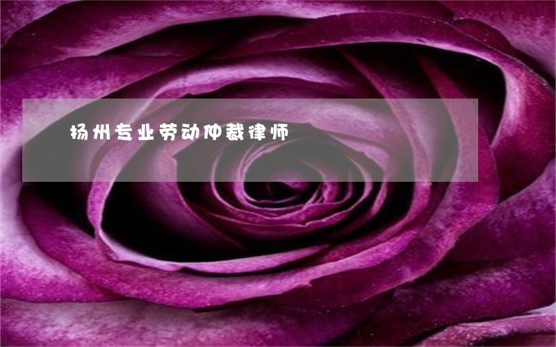 扬州专业劳动仲裁律师 扬州专业劳动仲裁律师
