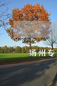 扬州专业婚姻律师收费 扬州专业婚姻律师收费