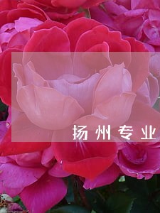 扬州专业离婚律师所免费咨询