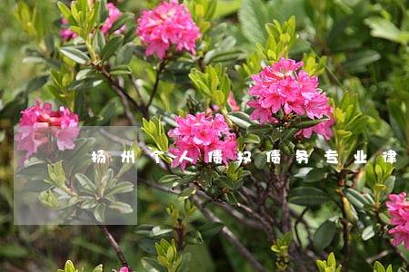 扬州个人债权债务专业律师 扬州个人债权债务专业律师