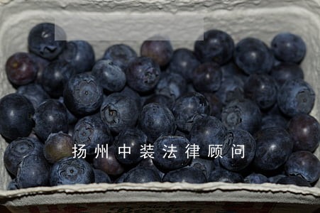 扬州中装法律顾问 扬州中装法律顾问