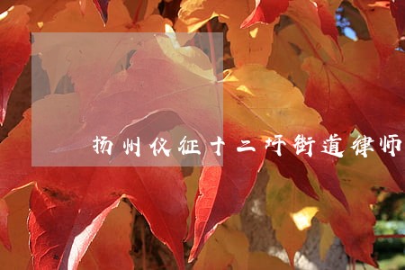 扬州仪征十二圩街道律师排行榜 扬州仪征十二圩街道律师排行榜