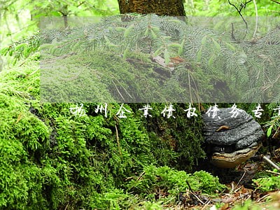扬州企业债权债务专业律师 扬州企业债权债务专业律师