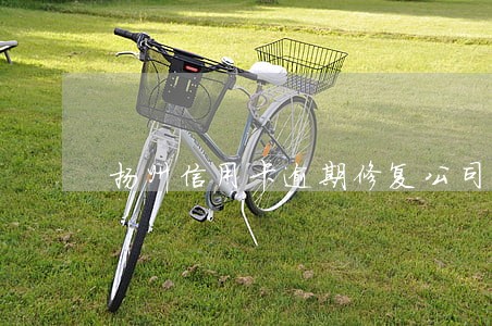扬州信用卡逾期修复公司
