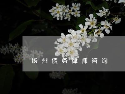 扬州债务律师咨询 扬州债务律师咨询