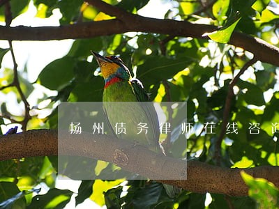 扬州债务律师在线咨询 扬州债务律师在线咨询