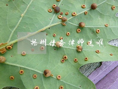 扬州债务律师选谁