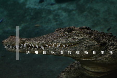 扬州债权债务律师哪里找 扬州债权债务律师哪里找