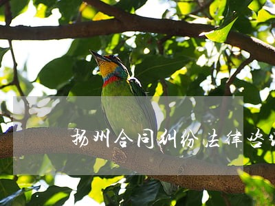 扬州合同纠纷法律咨询