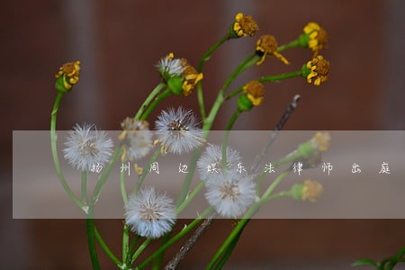 扬州周边娱乐法律师出庭收费 扬州周边娱乐法律师出庭收费