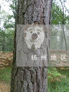 扬州地区专业夫妻债务纠纷律师 扬州地区专业夫妻债务纠纷律师
