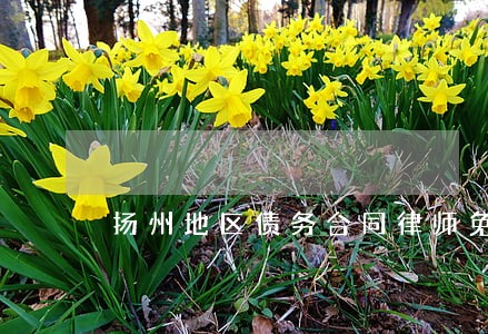 扬州地区债务合同律师免费咨询 扬州地区债务合同律师免费咨询