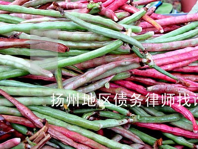 扬州地区债务律师找谁好 扬州地区债务律师找谁好