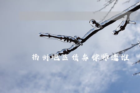 扬州地区债务律师选谁 扬州地区债务律师选谁