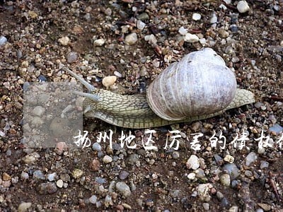 扬州地区厉害的债权债务律师 扬州地区厉害的债权债务律师