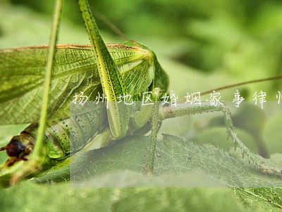 扬州地区婚姻家事律师收费标准 扬州地区婚姻家事律师收费标准