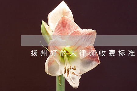 扬州好的大律师收费标准 扬州好的大律师收费标准