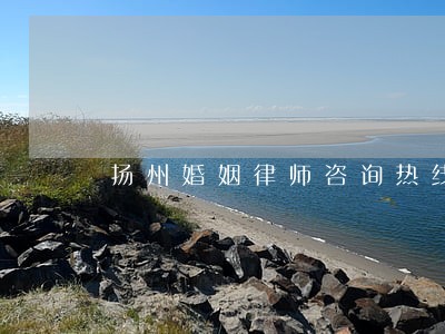 扬州婚姻律师咨询热线 扬州婚姻律师咨询热线