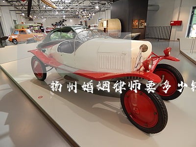 扬州婚姻律师要多少钱 扬州婚姻律师要多少钱