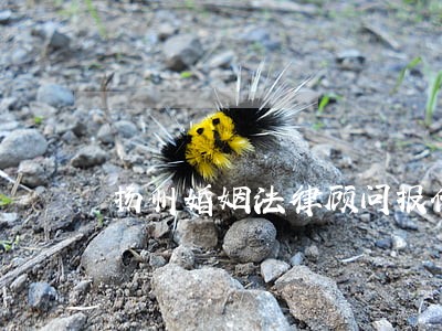 扬州婚姻法律顾问报价 扬州婚姻法律顾问报价
