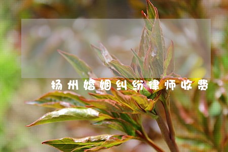 扬州婚姻纠纷律师收费 扬州婚姻纠纷律师收费