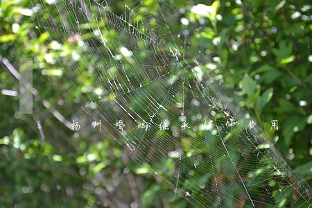 扬州婚姻继承律师费用 扬州婚姻继承律师费用