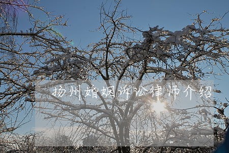 扬州婚姻诉讼律师介绍 扬州婚姻诉讼律师介绍