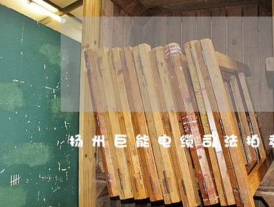 扬州巨能电缆司法拍卖