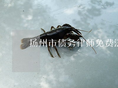 扬州市债务律师免费法律咨询