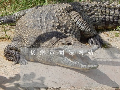 扬州市司法网站 扬州市司法网站
